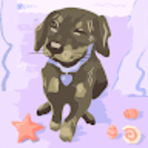 Meet your Posher, Collins